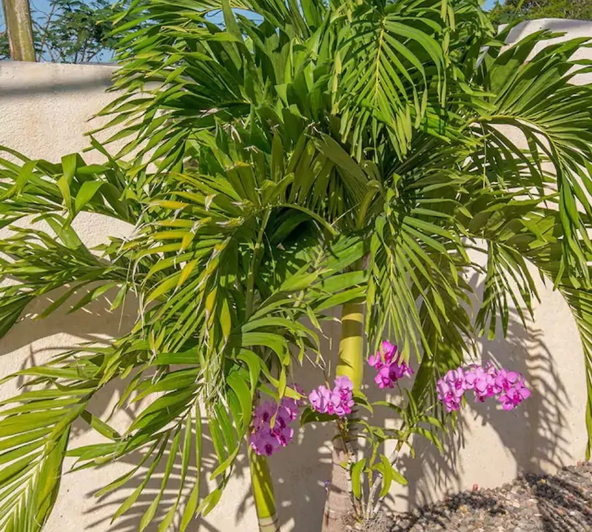 Nianna Coral Bay Luxurious Townhouse- 3 Hotel Montego Bay